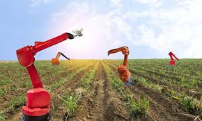Could Robots Replace Farmers in the Next Decade?