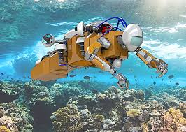 The Role of Robots in Ocean Exploration