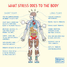 How Your Body Signals Stress Before Your Mind Does
