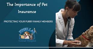 How Pet Insurance Is Becoming a Family Necessity