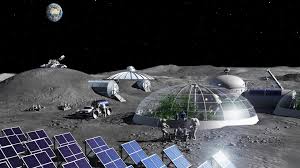 Why Scientists Are Sending Seeds to the Moon