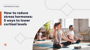 The Role of Gratitude in Lowering Stress Hormones