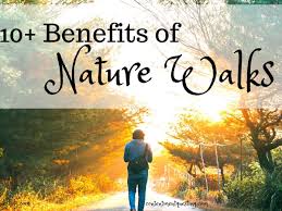 How Nature Walks Improve Your Memory