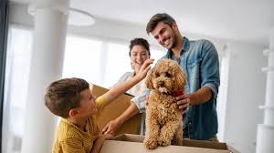 How Pet Insurance Is Becoming a Family Necessity