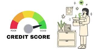 How Credit Scores Shape Your Insurance Options