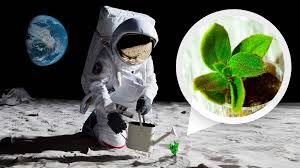 Why Scientists Are Sending Seeds to the Moon